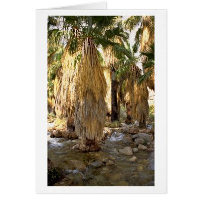 Palm Tree Greeting Cards by jupp