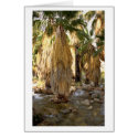 Palm Tree cards