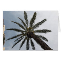 Palm Tree cards by DonnaGrayson Palm Tree cards