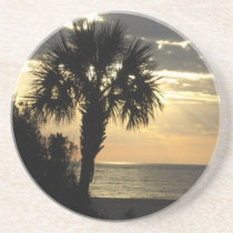 Palm Tree Coasters coasters