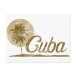 Palm Tree Cuba