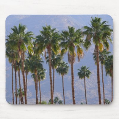 Palm Tree Desert California Palm Springs Mousepad by thewedge