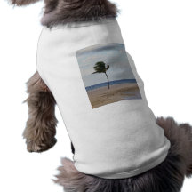 Palm Tree Enjoying the Beach Pet Tee