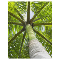 Palm tree personalized flyer