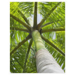 Palm tree personalized flyer