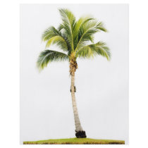 Palm tree flyers