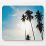 Palm Tree (FreeWallpaperBlog.com)