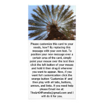 Palm Tree From Under 2 Photo Cards