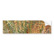 Palm Tree Fruits bumper stickers