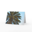 palm tree greeting card by DonnaGrayson palm tree greeting card