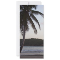 Palm Tree Greeting rack cards by AnimalKingdvmDesigns Palm Tree Greeting rack cards
