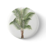Palm tree illustration collection
