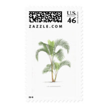 Palm tree illustration collection postage