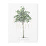Palm tree illustration Collection Post Card