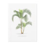 Palm tree illustration collection post card