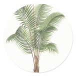Palm tree illustration collection stickers