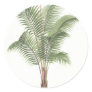 Palm tree illustration collection stickers