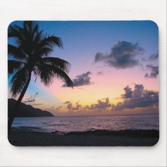 Palm Tree in the Sunset mousepad
