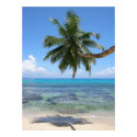 Palm Tree Island posters