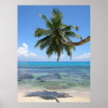 Palm Tree Island Posters