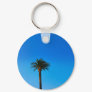 palm tree