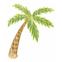 Palm Tree Lashed t-shirts