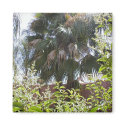 Palm Tree Magnet magnet