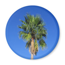 Palm Tree magnets by camobabygifts Palm Tree magnets