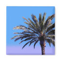 Palm Tree magnets by DonnaGrayson_Photos Palm Tree magnets