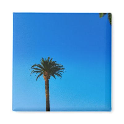 Palm Tree Refrigerator Magnet by DonnaGrayson