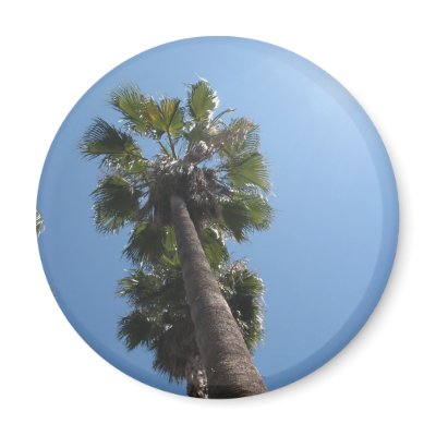 Palm Tree Magnet by DonnaGrayson