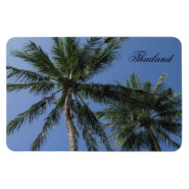 Palm Tree Magnet magnets
