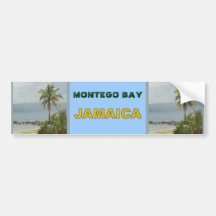 Palm Tree, Montego Bay Jamaica June 2011 Bumper Stickers