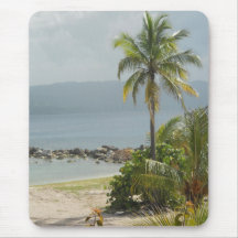 Palm Tree, Montego Bay Jamaica June 2011 Mousepads