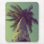 Palm Tree Mouse Pads