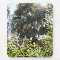 Palm Tree mousepads