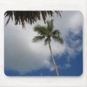 Palm Tree mousepad by grksoxgirl Palm Tree mousepad