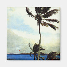 'Palm Tree-Nassau' Fridge Magnets