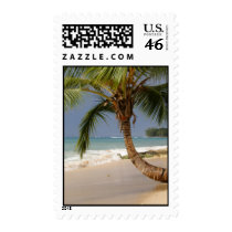 palm tree on beach postage stamp