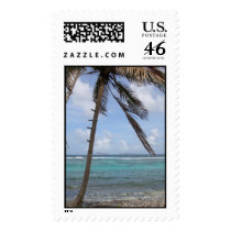 Palm tree on Bequia Island postage