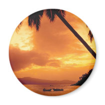 Palm Tree over Water magnets