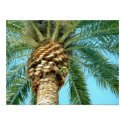 Palm Tree & Parrot - poster posters