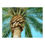 Palm Tree & Parrot - poster