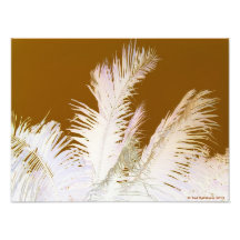 Palm Tree Photo Print