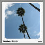 palm tree photograph room decal