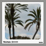 palm tree photograph room graphics