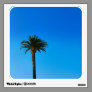 palm tree photograph wall skin