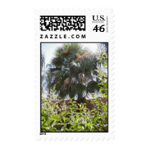Palm Tree Postage postage