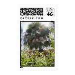 Palm Tree Postage postage