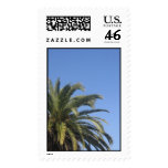 palm tree postage